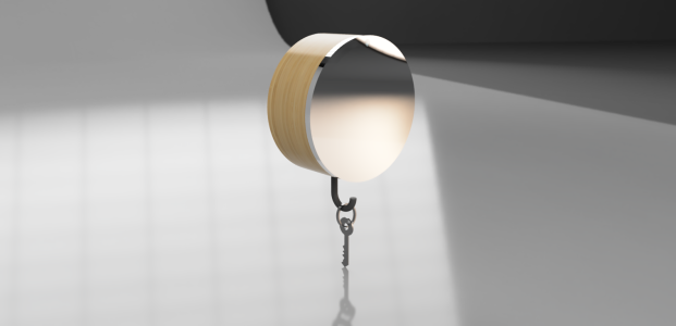 A hallway mirror and key storage/dispenser in one. Based on face recognition whilst checking your haircut before leaving.